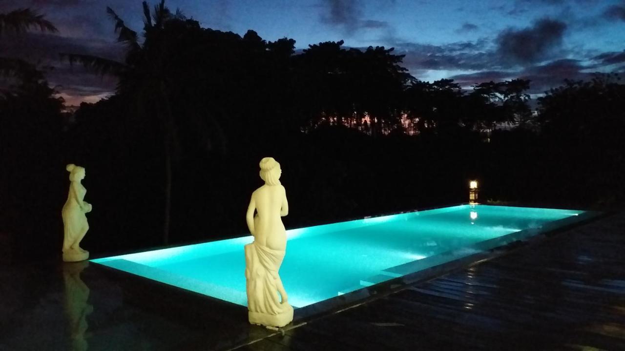 Serenity Private Villa Mas Ubud Экстерьер фото