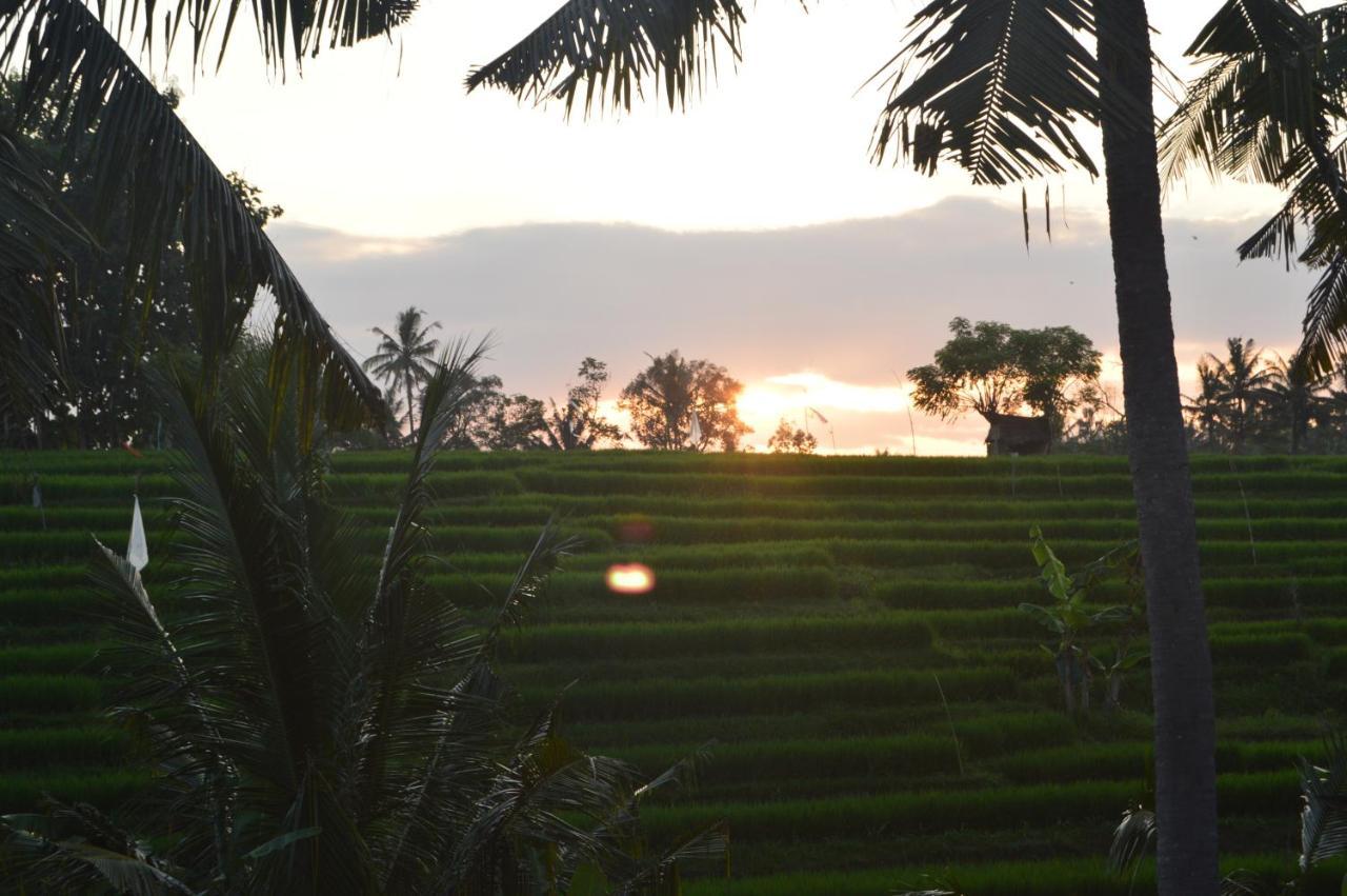 Serenity Private Villa Mas Ubud Экстерьер фото