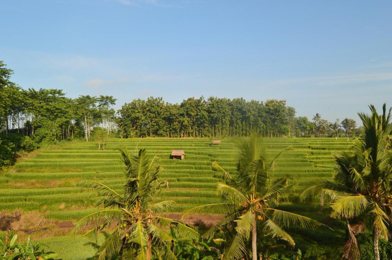 Serenity Private Villa Mas Ubud Экстерьер фото