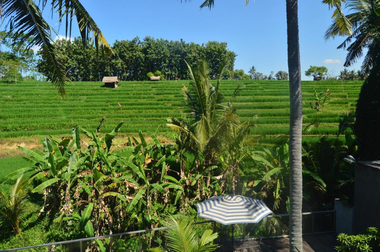 Serenity Private Villa Mas Ubud Экстерьер фото